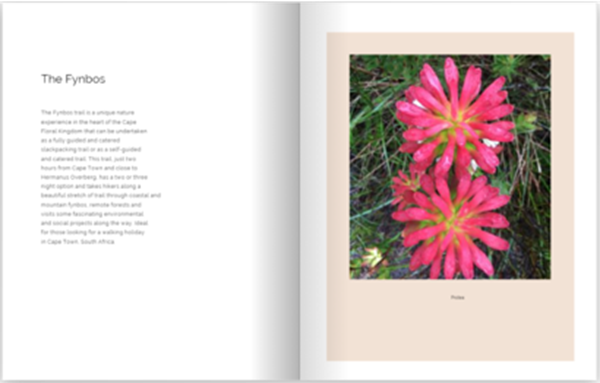 Show details for A4 Memory Book | non-US books only