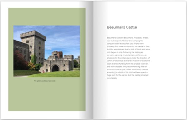 Show details for A4 Memory Book | non-US books only