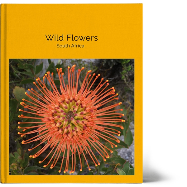 Show details for A4 Memory Book | non-US books only